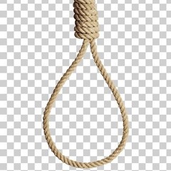Петля