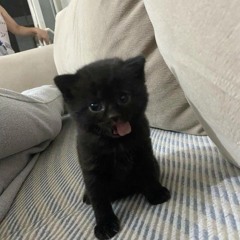 pls don't try to figure out who I am