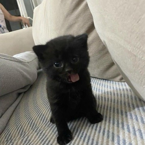 pls don't try to figure out who I am