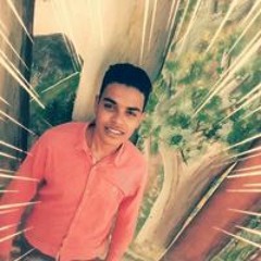 احمد ربيع