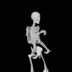 Skelleton