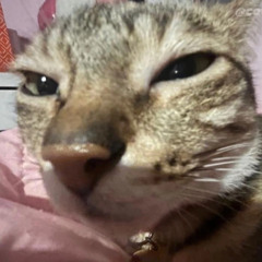 twhan