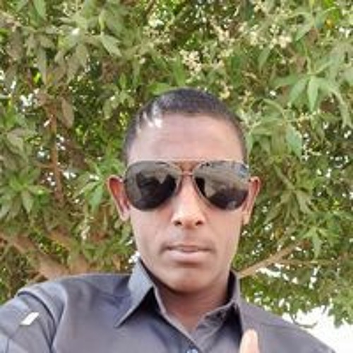 محمد الصديق’s avatar