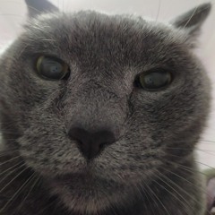 lofi hip hop beats ~ to daydream, draw, or relax to