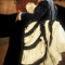 أرمودَا