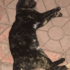 ,