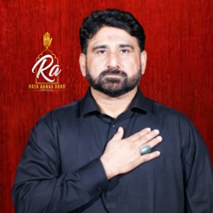 Syed Raza Abbas Shah