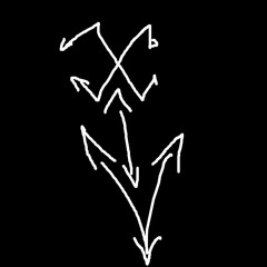 X.I.V
