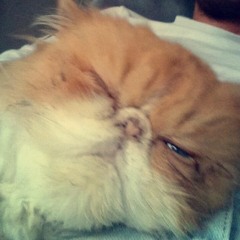 Thomas