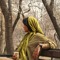 aban gholamifar