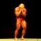 Wouter Van der Grijp
