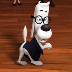 ⚪️|| Dog ||⚪️