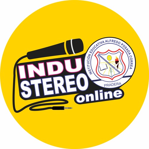 InduStereo’s avatar