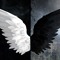 THE WINGS