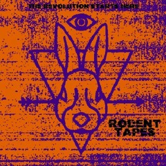 Citadel Of Musique Expérimentale