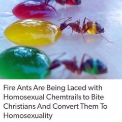 47000 fire ants