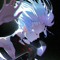 qx_sf