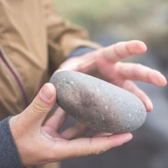 Special life partner