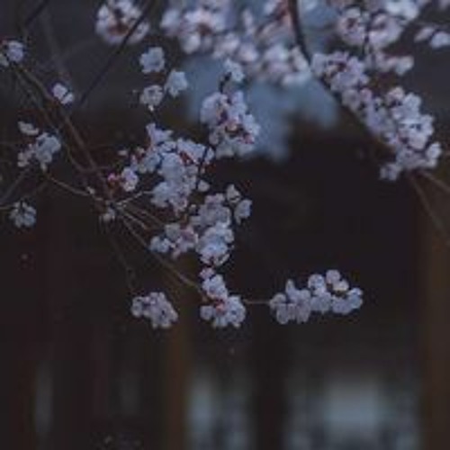كم في يومك من قرآن أداء علي محمد زاهر إدريس⚘