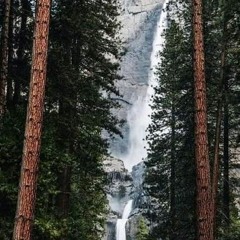 Ibrahim Suliman Bill