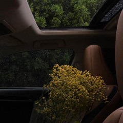 Zooz🧚🏻‍♀️