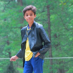 Adil Mustafa
