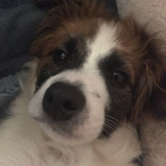 3h Nước Khoáng X Hoàng Long