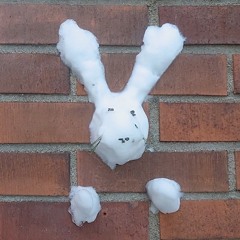 dogthatgotnomaster