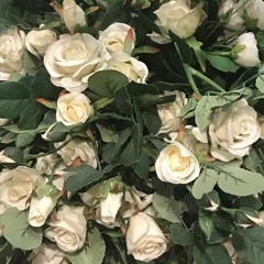 김경아