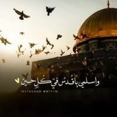 Shaimaa Mohamed Farag Faramawy