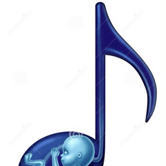 sEs