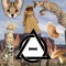 savannah_kat_therian! <3