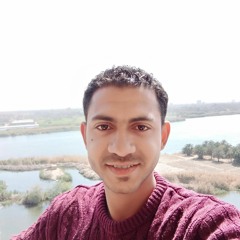 احمد رزق