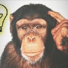 lockedinmonkey