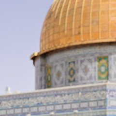 عرين