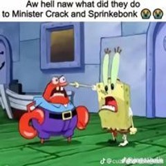 ShitsteinMcVirgle
