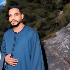 محمود الريانى