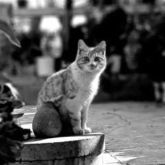 awake 😶‍🌫️