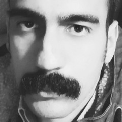ali.roodsarabi