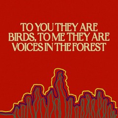 Forest Voices