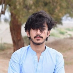 شہزاد بلوچ سنجرانی