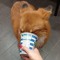 Zeqaffee
