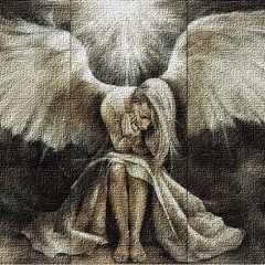 Amoria