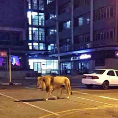 Вадим Гетьман