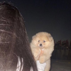 ✯