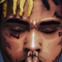 yolo fuck