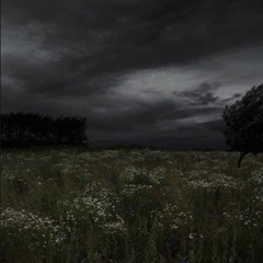 Petrichor-Pomegranate