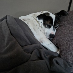 Tina Jetzt Wird's Schräg