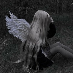 Angel🪽