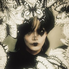 𝒟𝒶𝒱𝒾ℯ𝓁𝓁